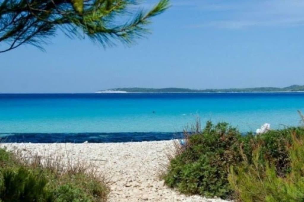 Apartment Lordanic Zaglav, Dugi Otok Exteriör bild