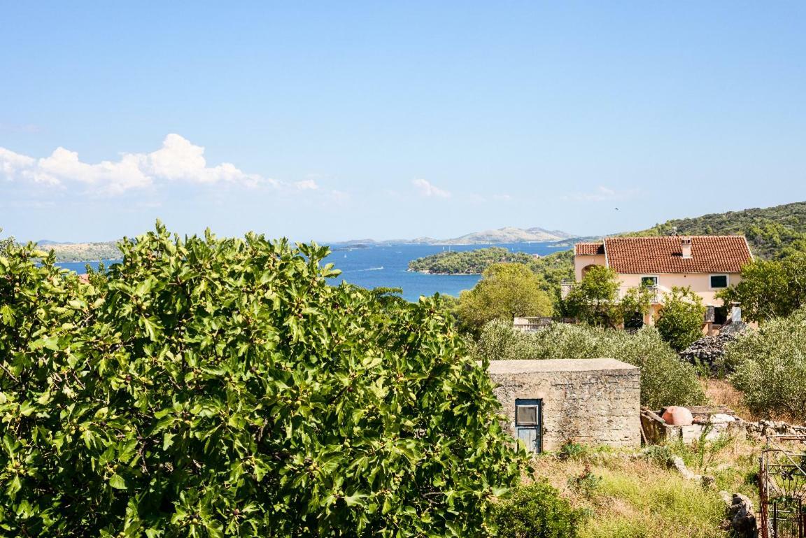 Apartment Lordanic Zaglav, Dugi Otok Exteriör bild